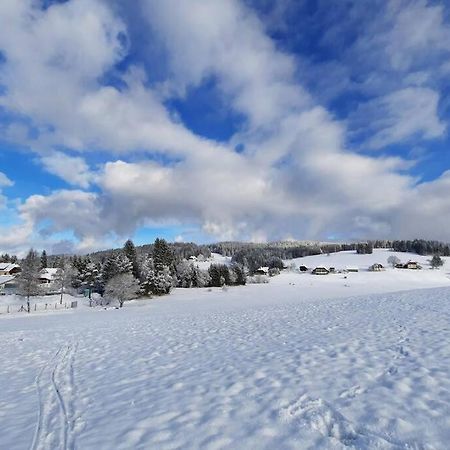 Gemuetliche Ferienwohnung Fuer 4 Gaeste In Schoenwald Schönwalde 外观 照片